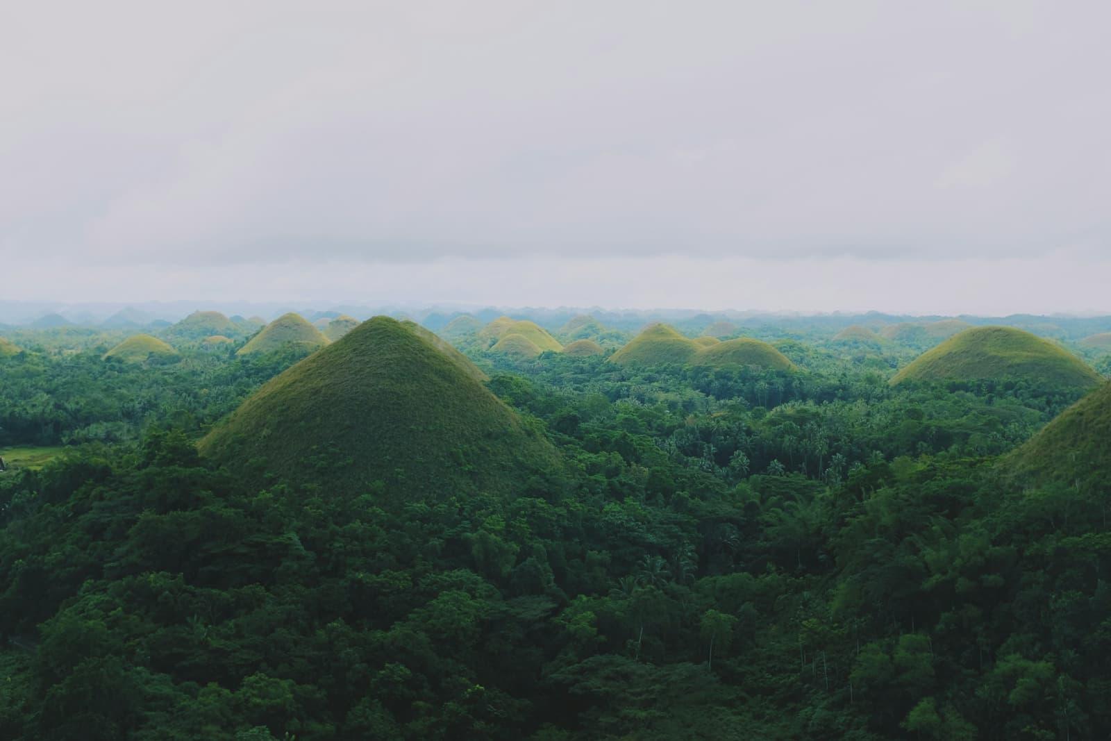 Aerial view of Bohol's Chocolate Hills — lush green rolling land
