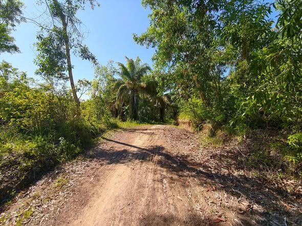 Overlooking Agricultural Lot for Sale in Union, Ubay - Near Beach