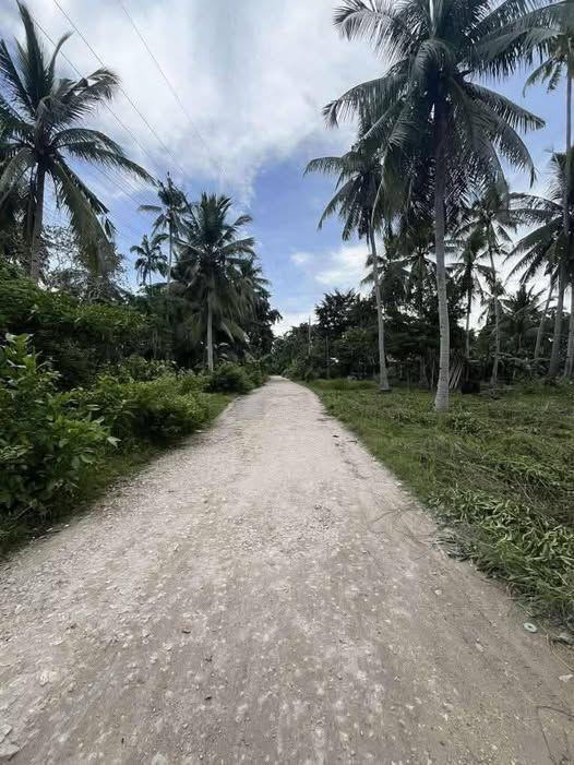 510 sqm Titled Beach Lot in Bil-isan, Panglao - Walk to Momo Beach