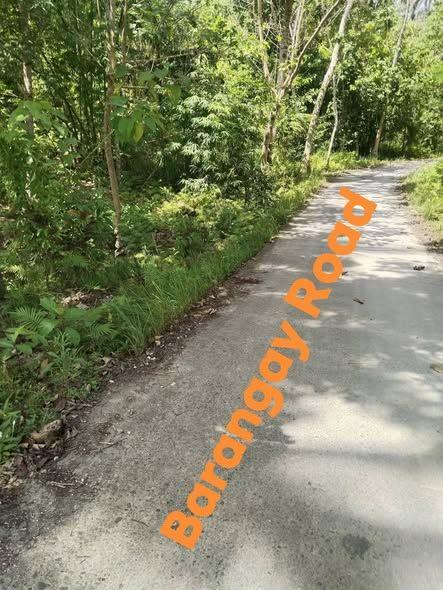 530 sqm Titled Residential Lot in Cortes, Bohol - 750K