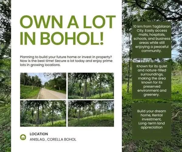 80 sqm Residential Lot in Niña Homes Subdivision, Anislag, Corella