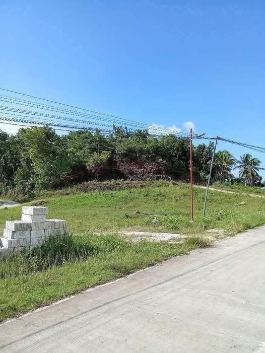 87 sqm Lot in Balilihan