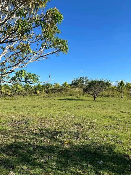 6.5 Hectare Farm Lot for Sale in Carmen, Bohol - Clean Title