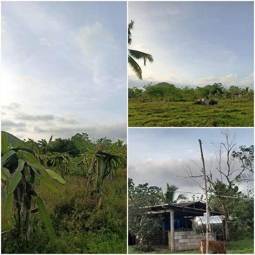 34104 sqm Lot in Carmen