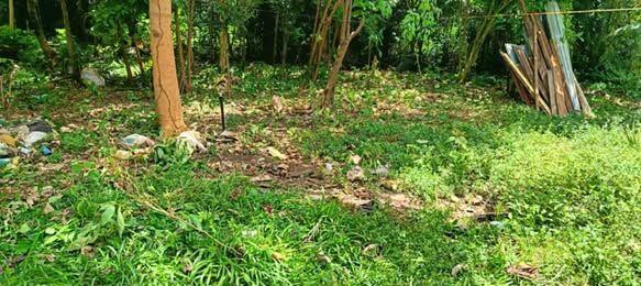 533 sqm Titled Lot for Sale in Poblacion, Maribojoc - Near Fire Station