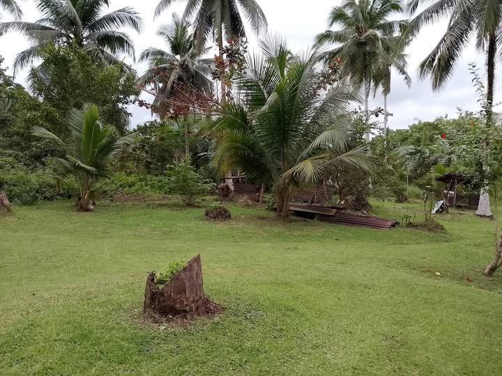 500sqm Residential Land Near BISU Balilihan - Perfect for Boarding House