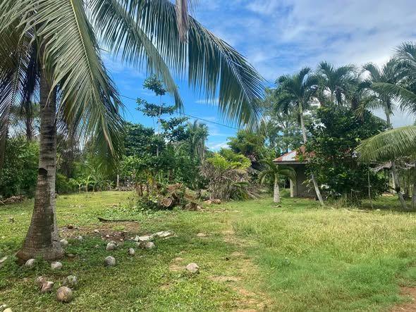 Commercial Lot for Lease - 1200 sqm in Tawala, Panglao - Near Airport & Alona Beach