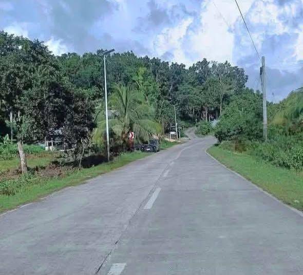 Land for Sale in Baclayon - 250sqm with Clean Title