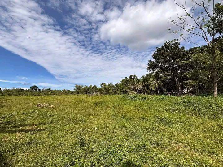150 sqm Lot in Dauis