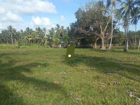 1,915 sqm Agricultural Farm Lot in Guio-ang, Guindulman - ₱300,000