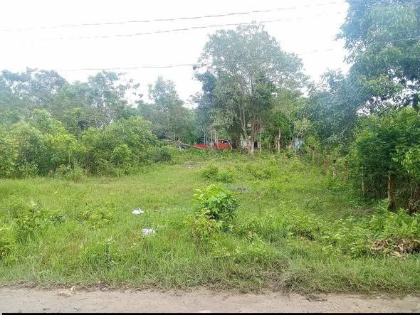 200 sqm Titled Lot Near Panglao Airport - Bolod, Panglao