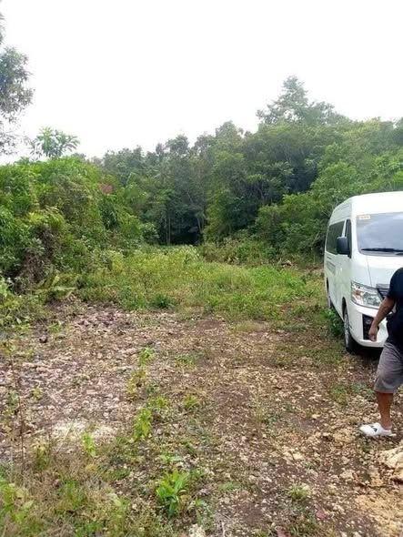 80 sqm Lot in Cortes