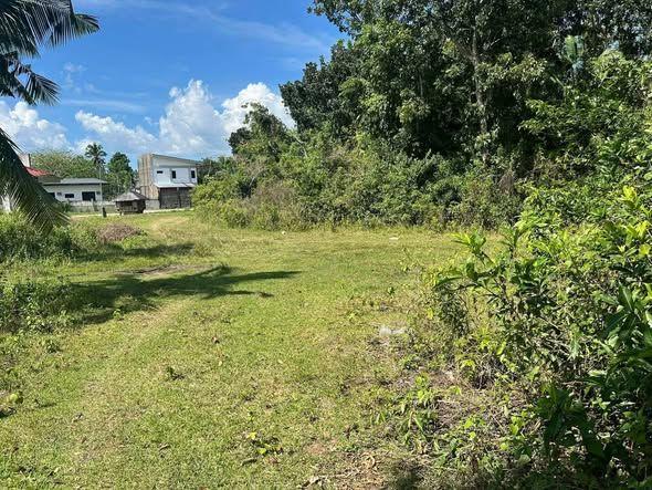 551 sqm Residential Lot for Sale in Totolan, Dauis with Clean Title