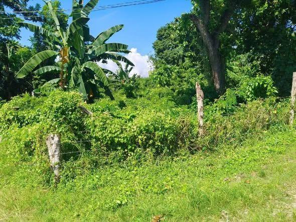 Corner Lot for Sale in San Isidro, Baclayon - 442 sqm, Clean Title