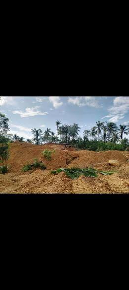 100sqm Subdivided Lot for Sale in New Lourdes, Cortes - 70K PHP