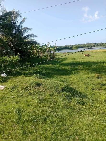 2795 sqm Lot in Talibon