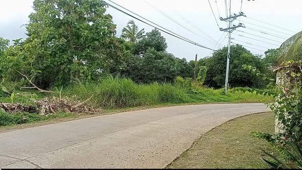 22925 sqm Lot in Ubay