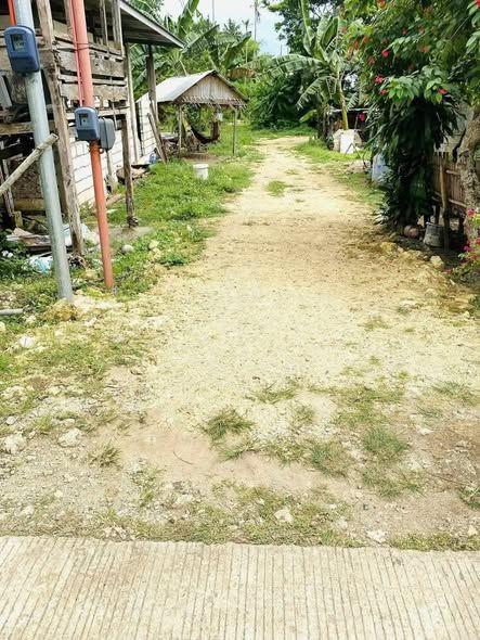 1,001 sqm Residential Lot for Sale in Looc, Panglao - Near Airport & Beach