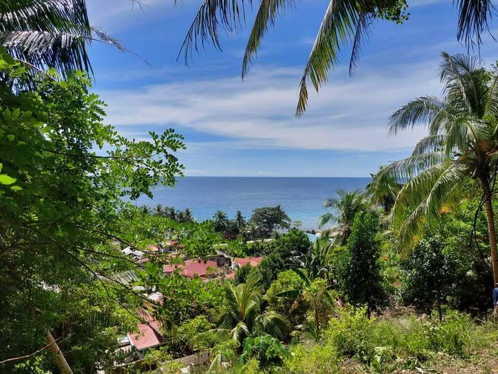 1,163 sqm Overlooking Lot with Sea View - Jagna, Bohol