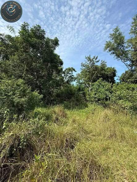 2,100 sqm Residential Lot for Sale in Bingag, Dauis - Near Marriott Hotel