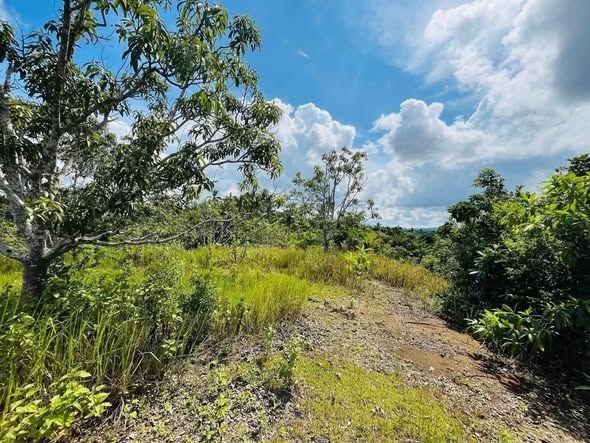 50 sqm Overlooking Lot in Yohanzville Phase 2, Cortes - Monthly Payment 2,813 PHP