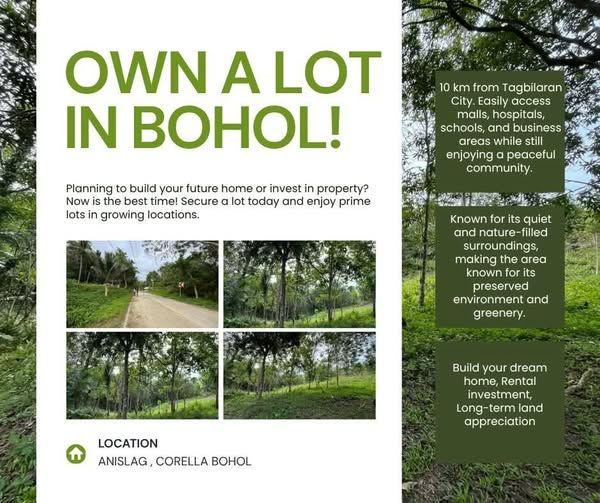 80 sqm Residential Lot in Niña Homes Subdivision, Corella, Bohol - ₱5K Reservation