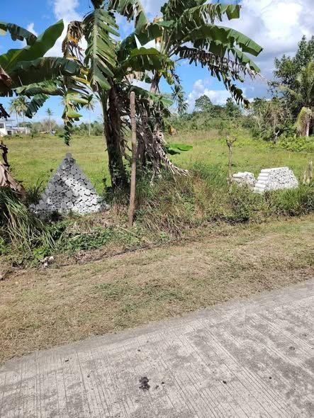 100sqm Flat Lot Near Chocolate Hills - Catigbian/Sagbayan Boundary - 150K
