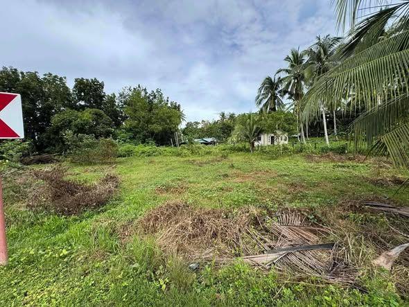 251 sqm Commercial/Residential Land for Sale in Baclayon - Near Marqis Resort