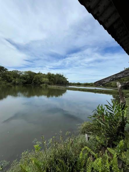 5977 sqm Lot in Talibon