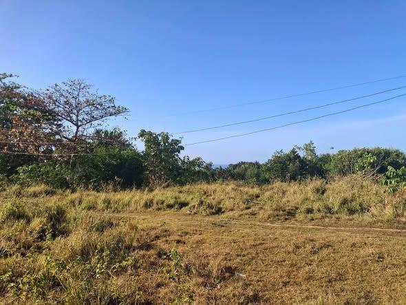 1000 sqm Lot in Panglao