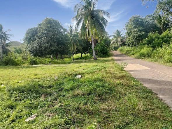 1463 sqm Lot in Guindulman
