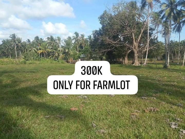 1915 sqm Lot in Guindulman