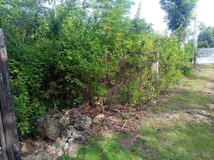 300 sqm Titled Beach Lot for Sale in Bacong, Anda, Bohol