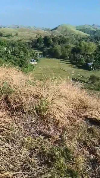 1.7 Hectare Industrial Lot for Quarry - Ubay, Bohol