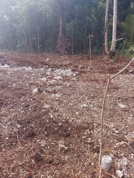 100 sqm Residential Lot Near Panglao Airport - Bil-isan Subdivision