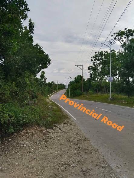 1,076 sqm Titled Lot for Sale in Baclayon, Bohol - 3K/sqm