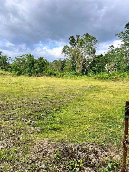 150 sqm Land for Sale in Tinago, Dauis - Ready to Transfer