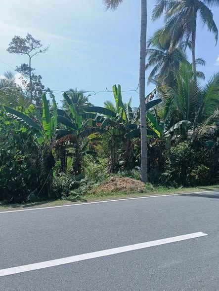 3,832 sqm Titled Highway Lot in Catigbian - 1.9M PHP