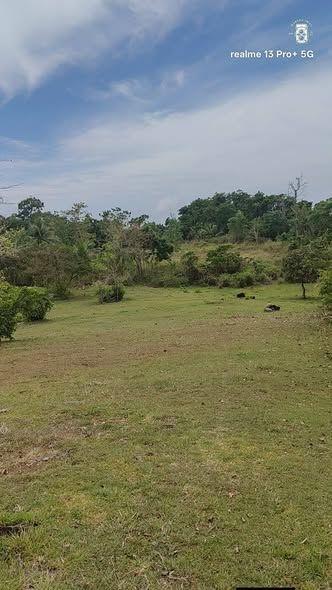 2.15 Hectare Overlooking Seaview Lot in Guindulman, Bohol - Clean Title