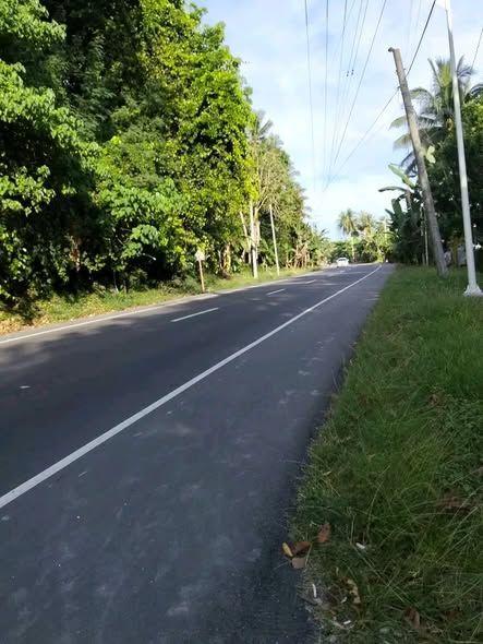 202sqm Titled Residential Lot Near Beach in Loay, Bohol - Walking Distance to Shore