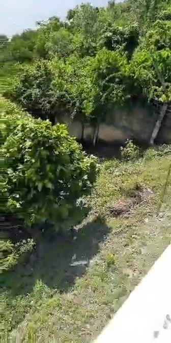 530 sqm Titled Lot in Totolan, Dauis - Direct Owner